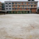 자란초교 이미지