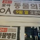 홍제24시모아동물의료센터 이미지