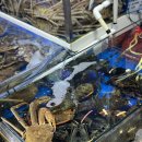 잘 회수산 센터 | 노량진수산시장 대방어맛집, 방어가 유명한 봉봉수산&amp;회센터 먹고온 후기