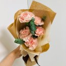 쌍수 상담 다녀온 후기 : 일미리, 청담비아이, 앤드, 프리미어 (가격 포함)