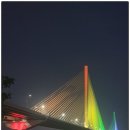 왕숙천둔치공원(강동대교) | 경기도 구리한강공원 ‘코스모스 축제’ 2025년 9월 26일