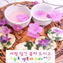 곤드레이야기 이미지