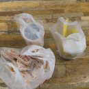 보고또보고 | 또 콘서트 보러 부산 짧게? 다녀온 후기