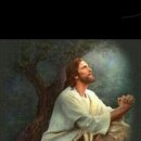 행림초등학교 이미지