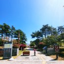 부산시민공원 숲속북카페 이미지