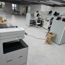 성서공단로 이미지