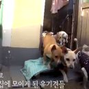 승미농장 이미지