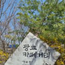 광교 공부하기 좋은 카페 : 스윗르벤지 후기