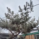 가조경로당 이미지