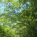 가마골어린이공원 이미지