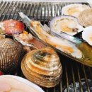 골드독 펜션 이미지