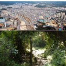 동서화원 - 남동구 논고개로 284-1 | 동서화원