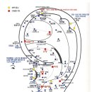 국제이침협회 이미지