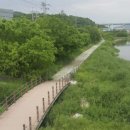경안천 이미지
