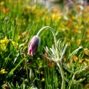 장바우농장 이미지