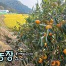 양촌농장 이미지