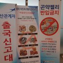 항도주유소 | 대마도 하타카츠 신화의 마을 캠핑장 1박2일
