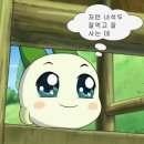 방어축제거리 이미지