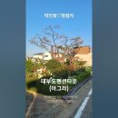 박인희♡방랑자. 대부도펜션타운(아그라)에서. #발라드추천 #여행 #travel 이미지