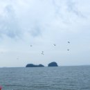 하얀펜션 이미지