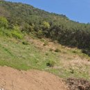 봉화공인중개사사무소 이미지