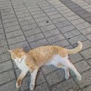 세윤푸드 이미지