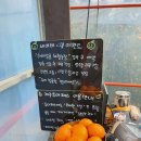 제주겨울 가족여행으로 아이랑 제주 감귤체험 &lt;달콤미깡 감귤밭&gt; 추천