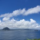 송악산 숲길 이미지