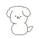 구도회힐링핸즈