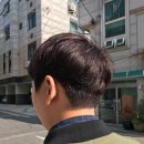 마가염색 이미지