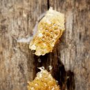 아빠 벌꿀 농장 이미지