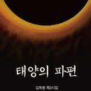 김욱동 - 태양의 파편 이미지