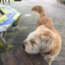 새들민박 이미지