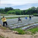 장계면사무소 이미지