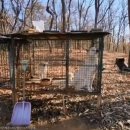 지인농장 이미지