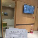 신설동 마리아병원 삼신할매스무디 레시피부터 난자채취 전 주사 주의사항 총정리 - 02