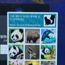 OOPSY PC방 이미지