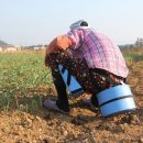 남구-029 이미지