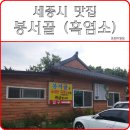봉암2리 | 출장길에 들렀던 세종시 흑염소 전문점 &lt;봉서골&gt;을 소개합니다