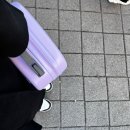 [ 2024년 특별한 새해 일기 ]