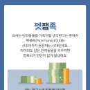 안양펫동물병원 이미지