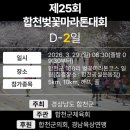 합천읍사무소 | 2026 제25회 합천벚꽃마라톤 완벽 가이드 | 대회 참가 후기,꿀팁 총정리