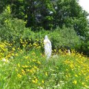 장평2로 이미지