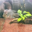 고래의꿈 수족관 이미지