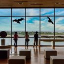 하단동1005 이미지