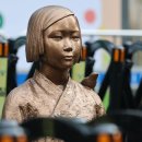 【일본군 위안부 피해' 허위사실 유포 시 5년 이하 징역】 _imnews.imbc.com「서유정기자」 이미지