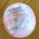 극장판 스파이 패밀리 코드 : 화이트 후기 &amp; 오픈 꼬꼬 옛날통닭!