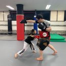 체육관 삼거리 이미지