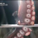 삼척골뱅이 이미지