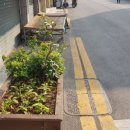 정일상회 이미지